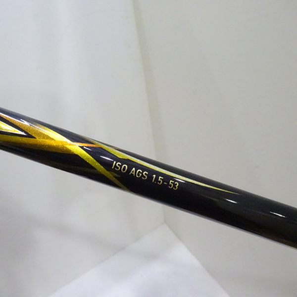 21トーナメント磯AGS 1.5-53・R